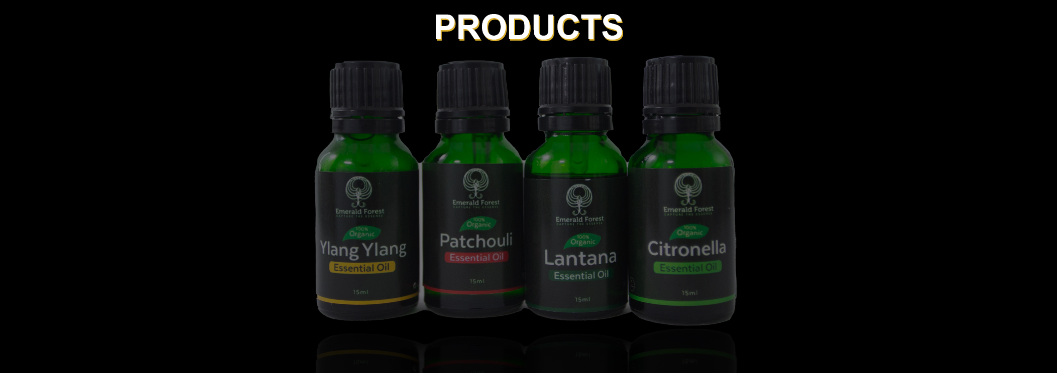 product_background-page01-008